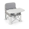 Portable Baby Booster Seat with Straps and Double Tray-Gray