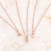 Elaina Rose Gold Stainless Steel V Initial Necklace