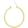 Basic Golden Hoop Earrings