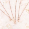 Elaina Rose Gold Stainless Steel U Initial Necklace