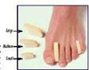 Toe Separator Small Bx/12