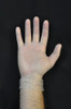 Vinyl Exam Gloves Powder-Free Cs/10 Boxes   Small
