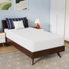 Twin size 10-inch Charcoal Infused Memory Foam Mattress with Removable Cover