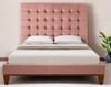 Blush Solid Wood Queen Tufted Upholstered Velvet Bed