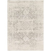3' x 5' Distressed Oriental Area Rug in Light Grey / Beige