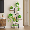 Modern 49-inch Tall Indoor Plant Stand Display Shelf with Grow Lights