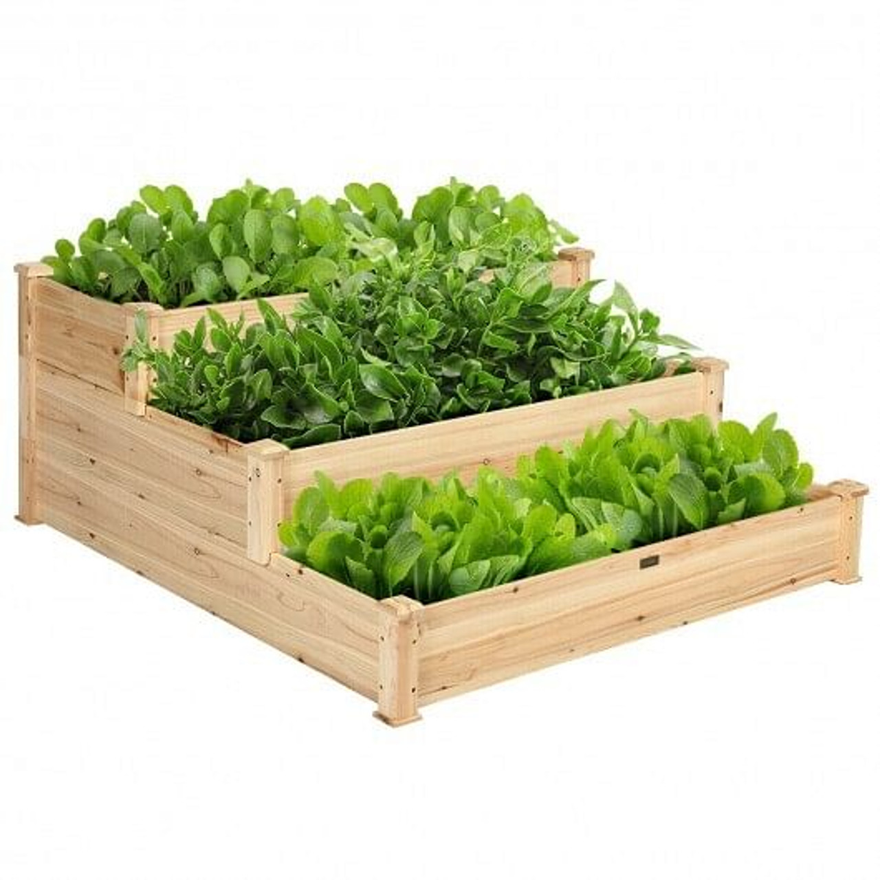 3 Tier Elevated Wooden Vegetable Garden Bed