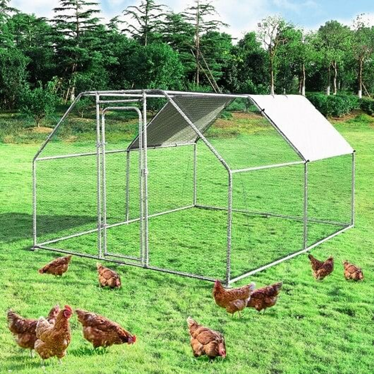 9.5 x 12.5 Feet Large Walk In Chicken Coop Run House