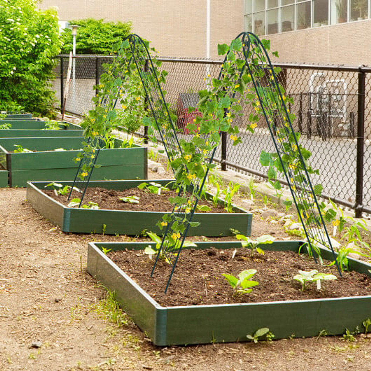 2 Pack 71 x 20 Inch Metal Garden Trellis Rustproof Plant Support for Climbing Plants-White