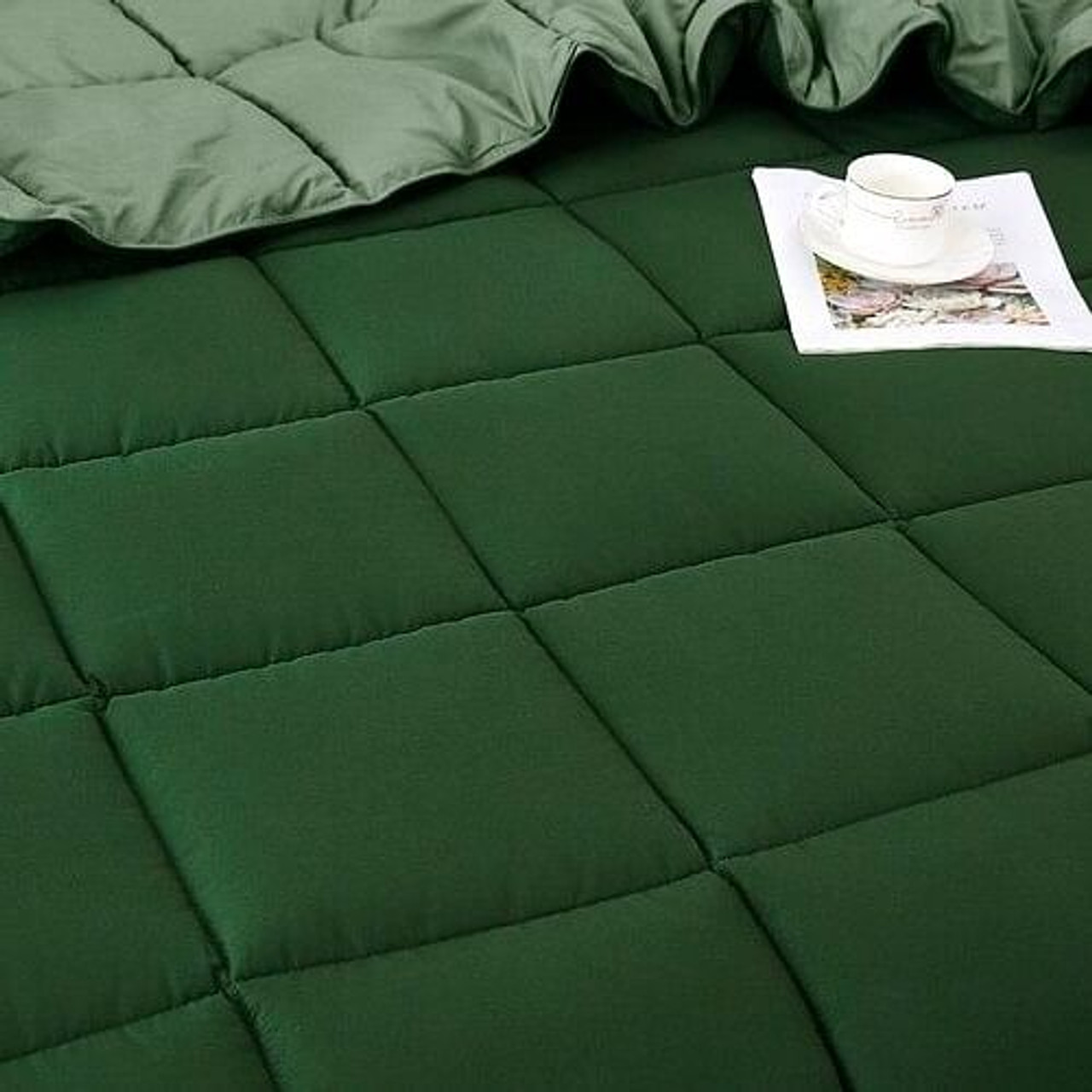 Twin/Twin XL Traditional Microfiber Reversible 3 Piece Comforter Set in Green Twin/Twin XL Traditional Microfiber Reversible 3 Piece Comforter Set in Green