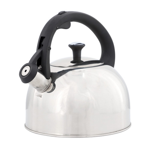Mr. Coffee Daneswell 2.1 Quart Stainless Steel Whistling Tea Kettle