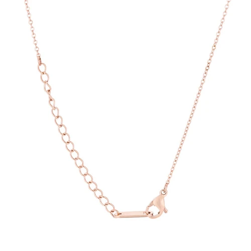 Elaina Rose Gold Stainless Steel P Initial Necklace