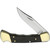 Side-angle open view of Buck 110 Folding Hunter revealing clip point blade geometry, 420HC stainless steel finish, and traditional brass bolster accents on ebony scales.