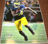 NCAA Michigan Wolverines Jeremy Gallon Autograph Photo 16x20