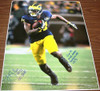 NCAA Michigan Wolverines Jeremy Gallon Autograph Photo 16x20