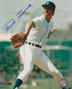 Frank Tanana Detroit Tigers MLB 8x10 Autographed Photograph - Side Pitch