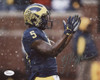 Jabrill Peppers Autographed 11x14 Photograph - Snow Framed