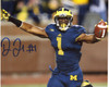 Devin Funchess Autographed 16x20 Photograph - Celebrate