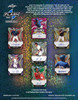 2020 Leaf Flash Baseball Hobby Box