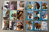 2002 Hero Factory Ice Age Complete Card Set