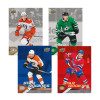2024/25 Upper Deck NHL Star Rookies Box Set