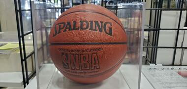 spalding lebron james