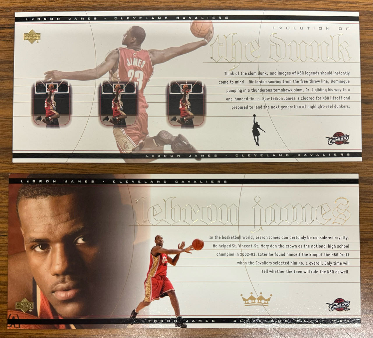 lebron james evo card