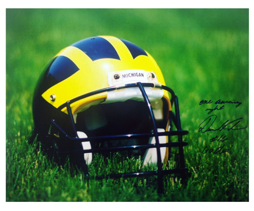 Denard Robinson Autographed Helmet In Grass 16x20