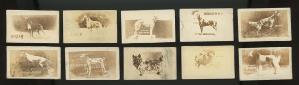 1948 Topps Magic American Dogs Lot of 10 Low Grade