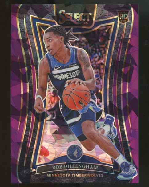 2024-25 Panini Select Rob Dillingham RC Purple Cracked Ice /99 #392