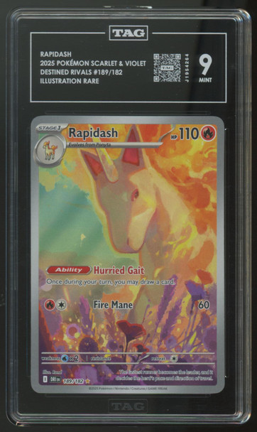 2025 Pokemon Rapidash Destined Rivals Illustration Rare #189 TAG 9