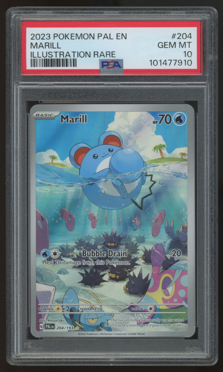 2023 MARILL #204 POKEMON PALDEA EVOLVED ILLUSTRATION RARE EN