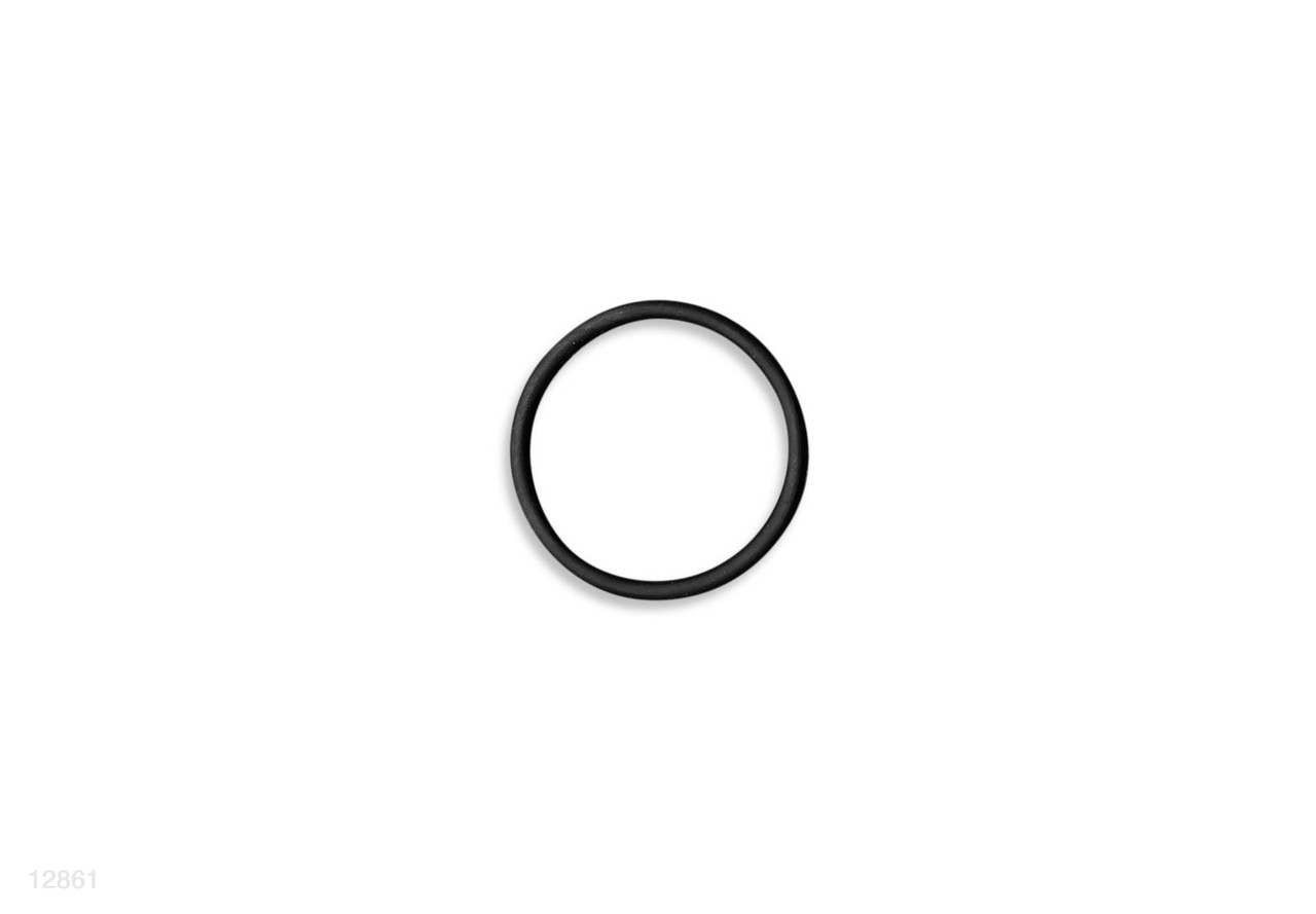 INTEX Inlet Filter O-ring For 28001