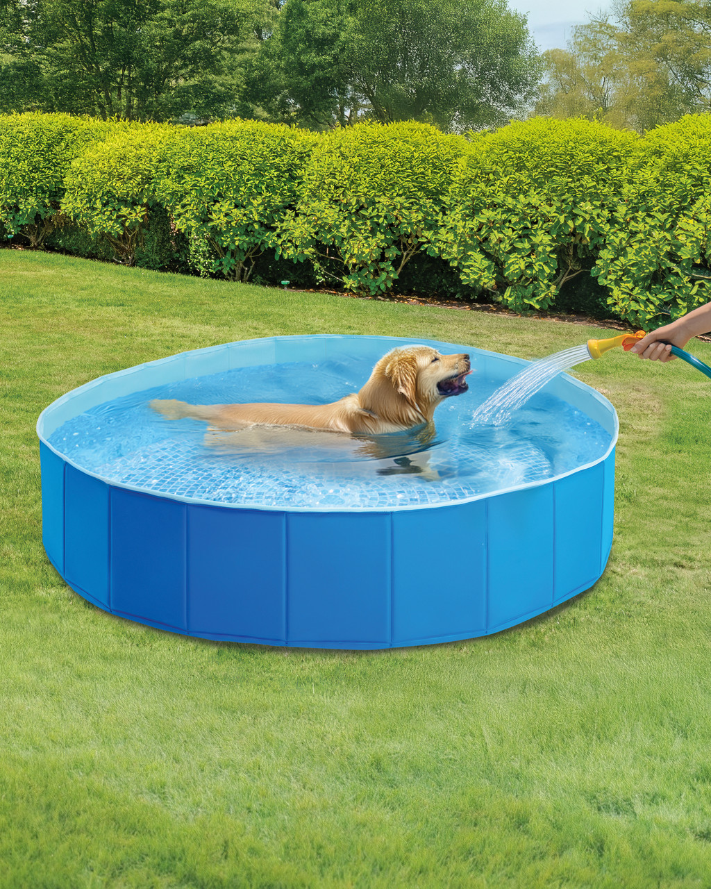 SMALL POOLS スモールプール Amazon.com: INTEX Pool Snorkel Fun Swim Centre Pool,103 inch