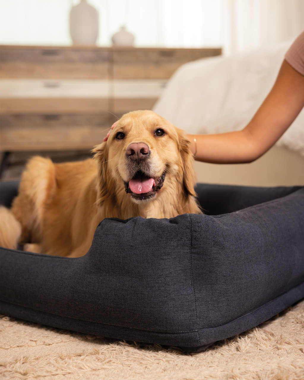 Inflatable Pet Bed With Hand Pump Medium