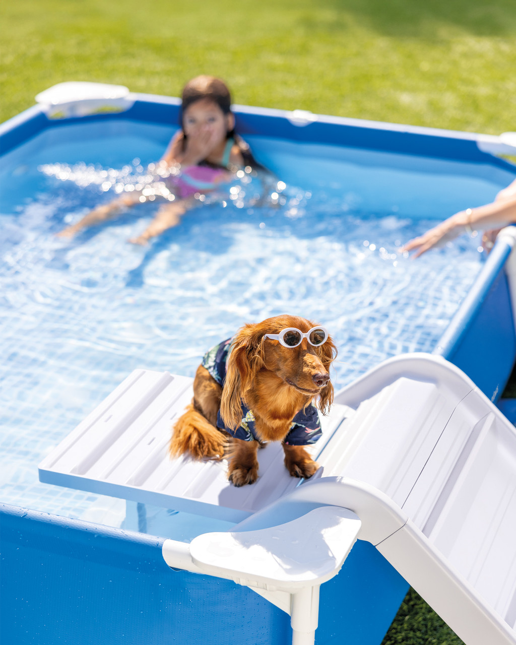 Rectangular Frame Pet Pool Set with Filter