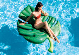 Palm Leaf Inflatable Mat