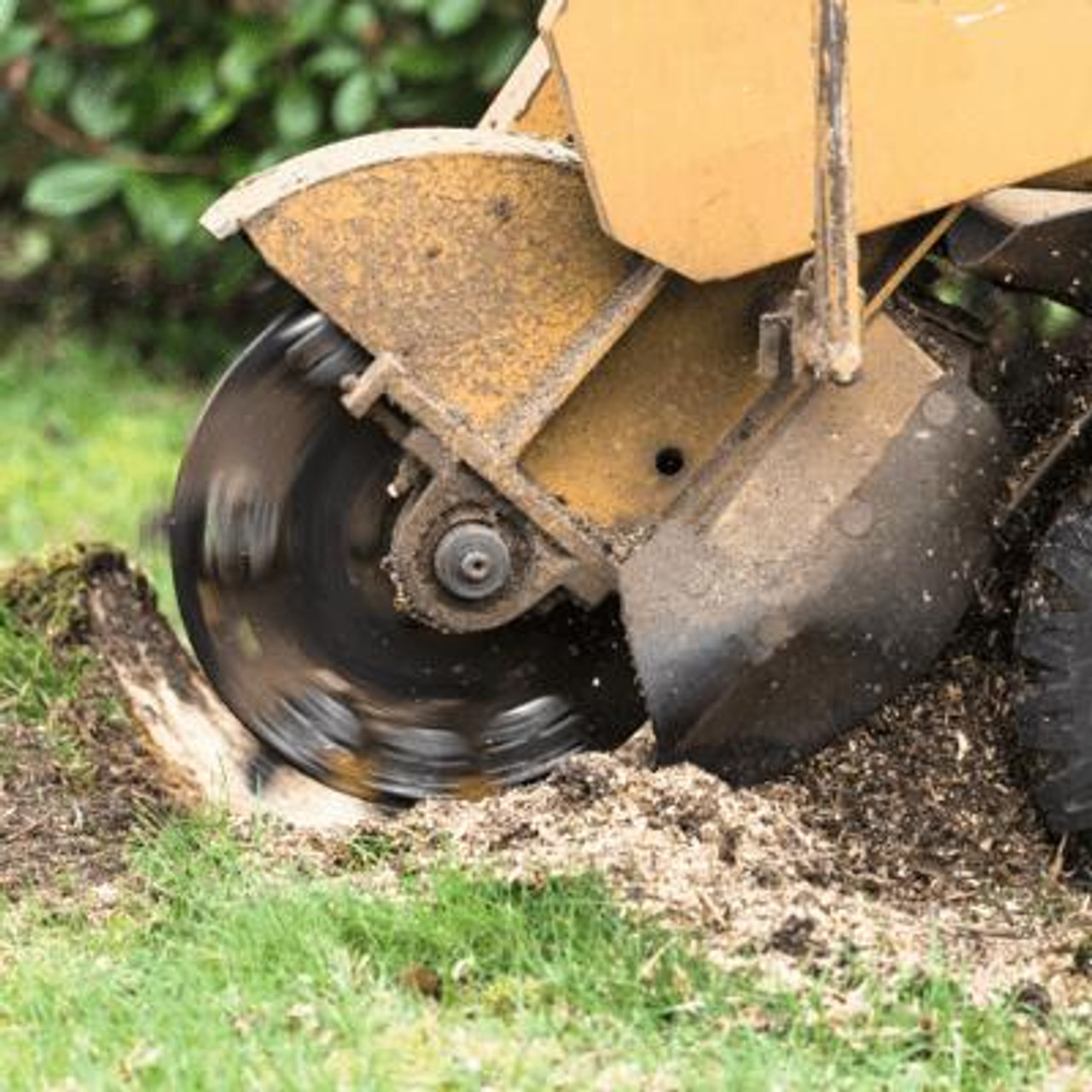 Stump Grinder SWMS SafetyDocs PDF & Word Templates