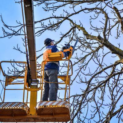 Tree Trimming EWP-Rope Work SWMS | SafetyDocs PDF & Word Templates
