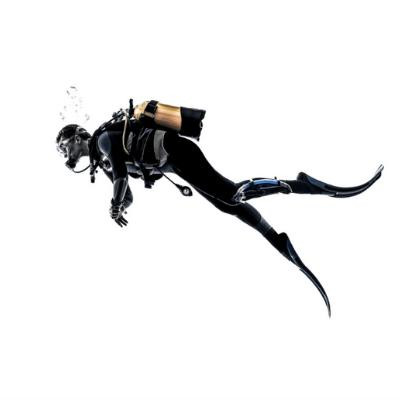 Diving SWMS SafetyDocs PDF & Word Templates