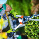Person using garden shears on hedges