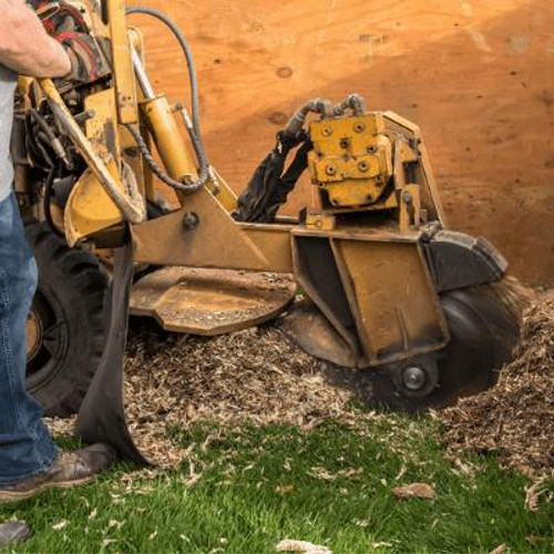 Man operating a stump grinder.