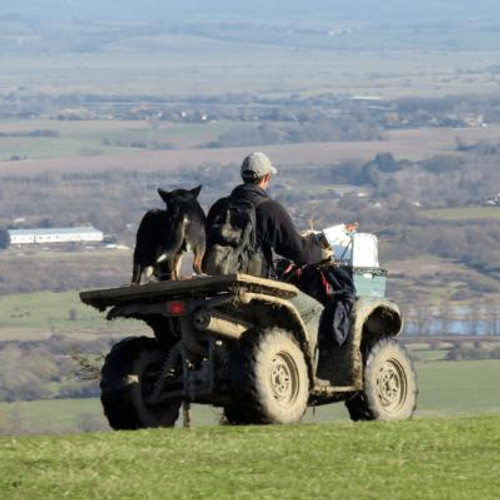 Man operating an ATV on farmland with a dog sitting on the back.
