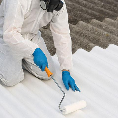  Painting Asbestos Roofs Safe Work Method Statement 
