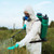 Pest control worker in protective work wear spraying field