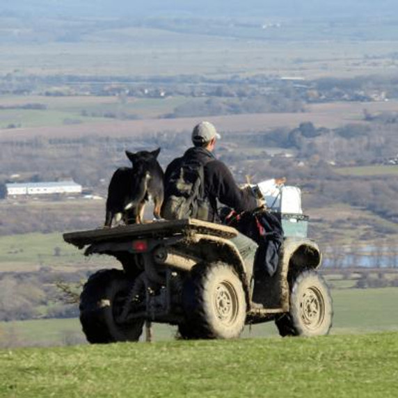 man and dog riding on an ATV in an open field.