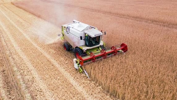 Rural Agricultural Health and Safety