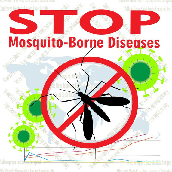 A sign urging to stop Mosquito-Borne Disease