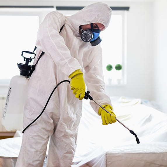 Exterminator in work wear spraying pesticide with sprayer.