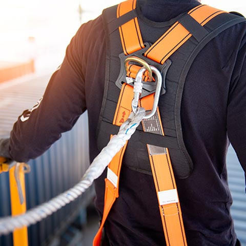 Safety Harness SWMS Safe Work Method Statement